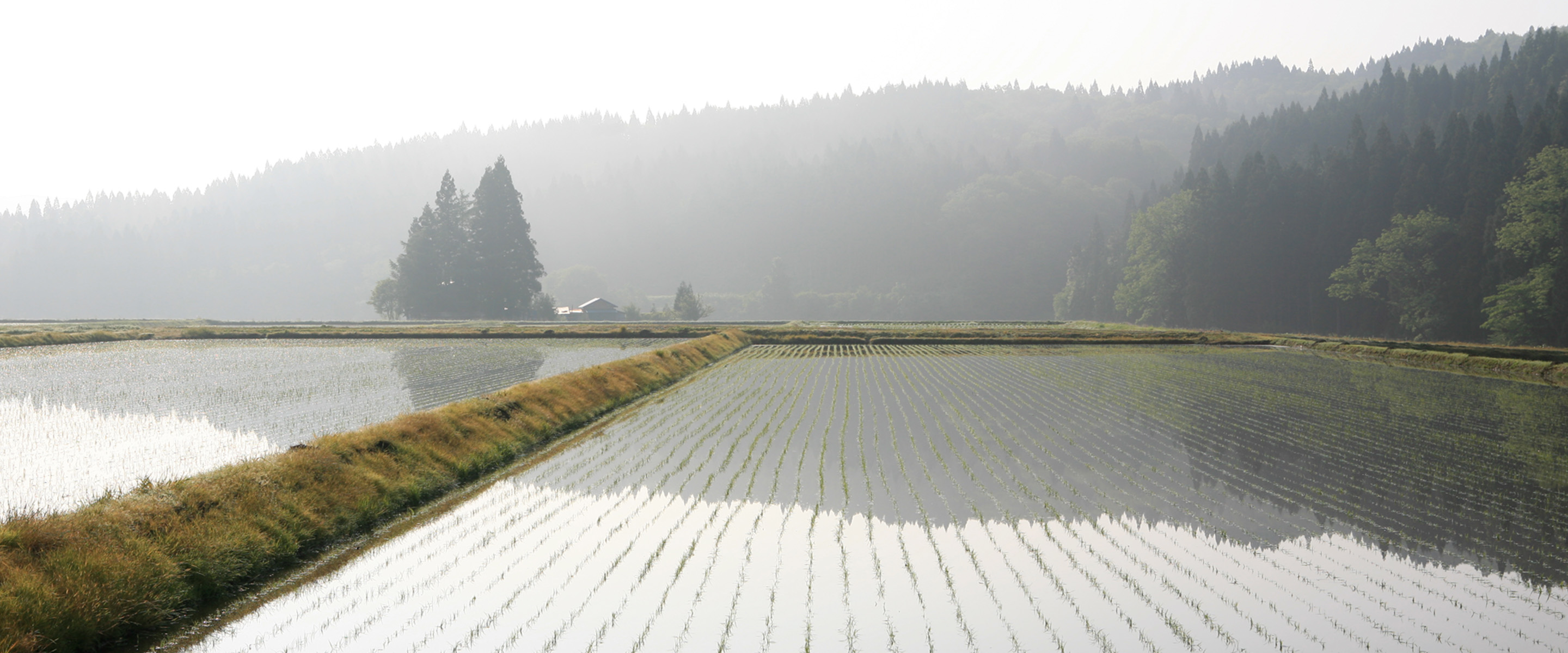 秋田の田園風景
