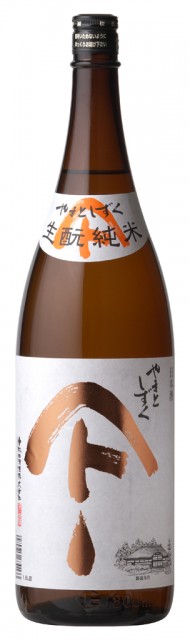 AS_YS_kimoto_1.8