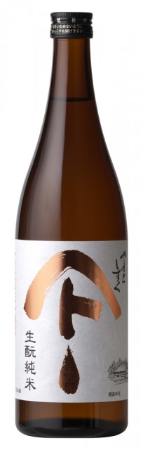 AS_YS_kimoto_720